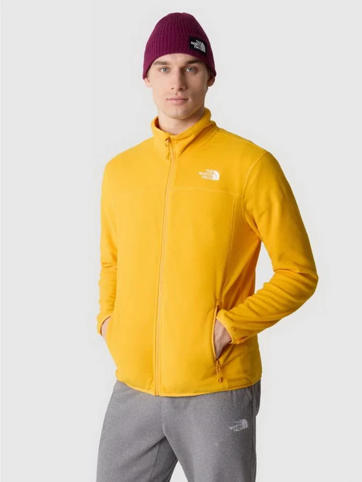 Худи и свитшоты The North Face модель NF0A855X56P1 Фото