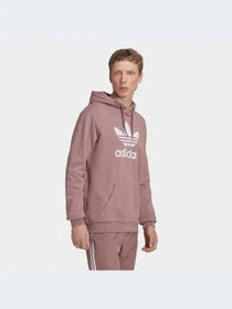 Худи и свитшоты Adidas Adicolor модель HM9325-KZ Фото