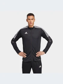 Худи и свитшоты Adidas Tiro модель GM7319-KZ Фото