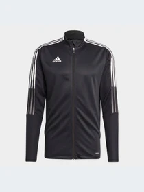Худи и свитшоты Adidas Tiro модель GM7319-KZ Фото