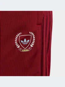 Спортивная одежда Adidas Graphics модель IJ0752-KZ Фото