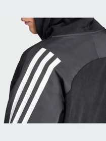 Худи и свитшоты Adidas Icons модель IB6130-KZ Фото