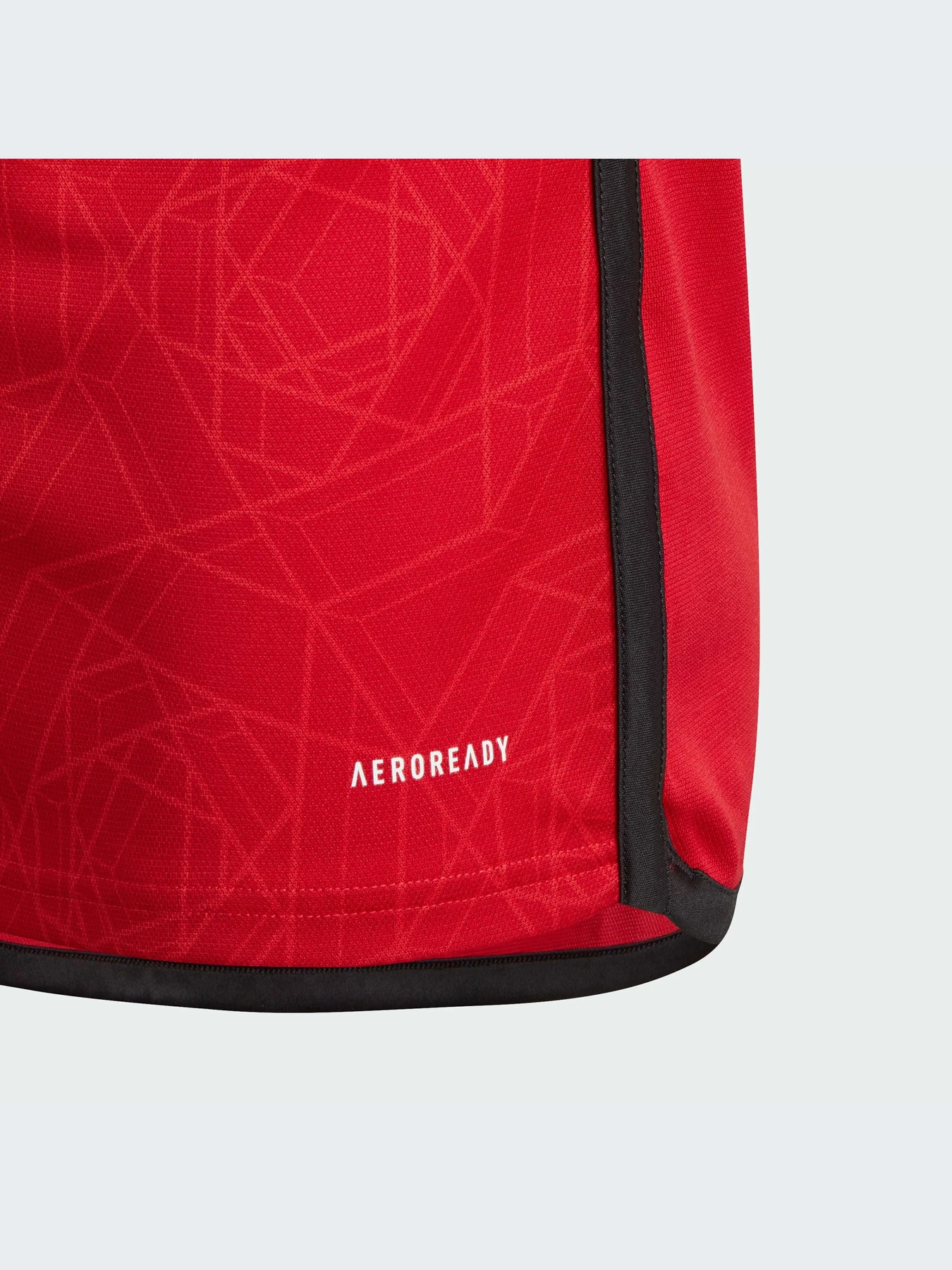 Футболки и поло Adidas модель IP1736-KZ Футболки и поло Adidas модель IP1736-KZ Фото