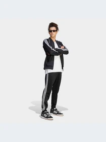 Худи и свитшоты Adidas Adicolor модель IM4545-KZ Фото