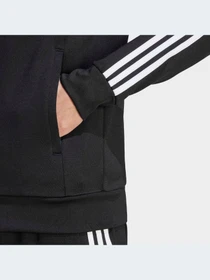 Худи и свитшоты Adidas Adicolor модель IM4545-KZ Фото