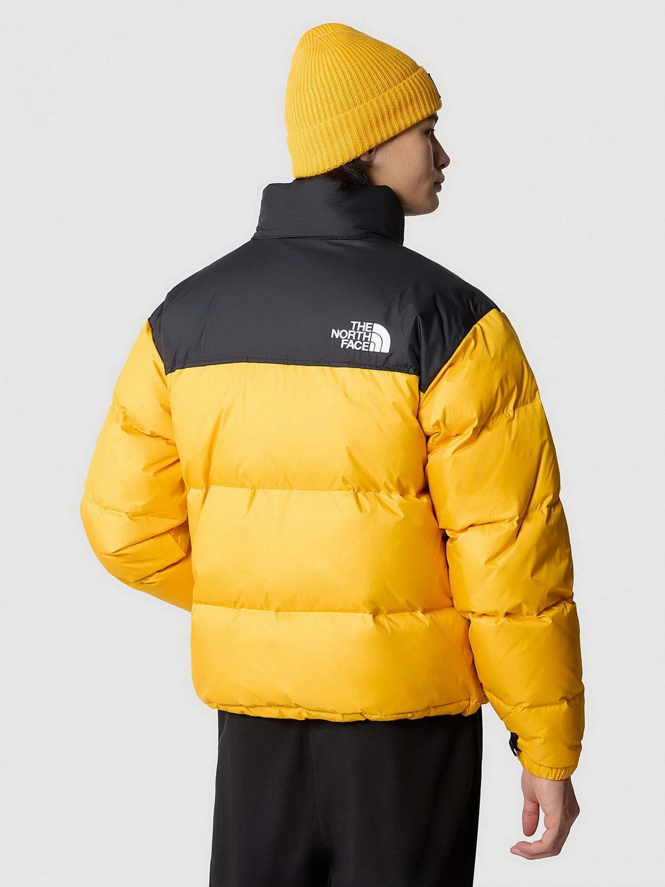 Куртки и дубленки The North Face модель NF0A3C8DZU31 Куртки и дубленки The North Face модель NF0A3C8DZU31 Фото
