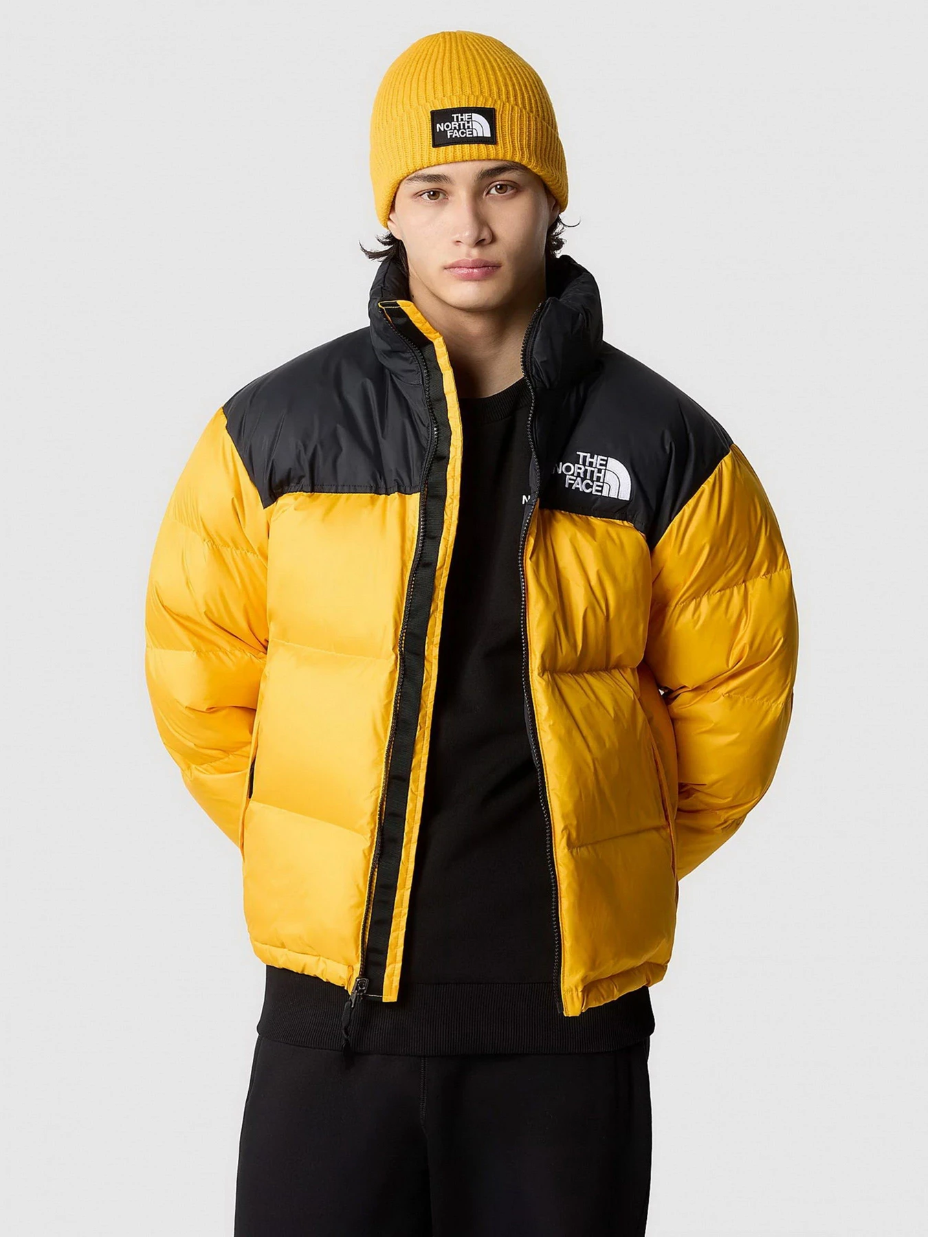 Куртки и дубленки The North Face модель NF0A3C8DZU31 Куртки и дубленки The North Face модель NF0A3C8DZU31 Фото