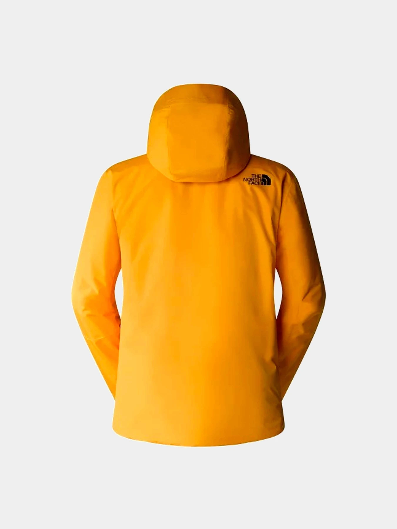 Куртки и дубленки The North Face модель NF0A4QWW56P1 Куртки и дубленки The North Face модель NF0A4QWW56P1 Фото