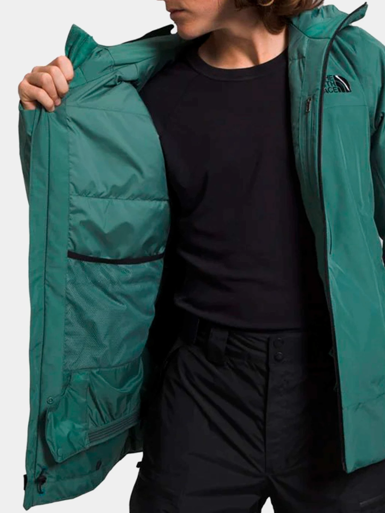 Куртки и дубленки The North Face модель NF0A4QWWI0F1 Куртки и дубленки The North Face модель NF0A4QWWI0F1 Фото