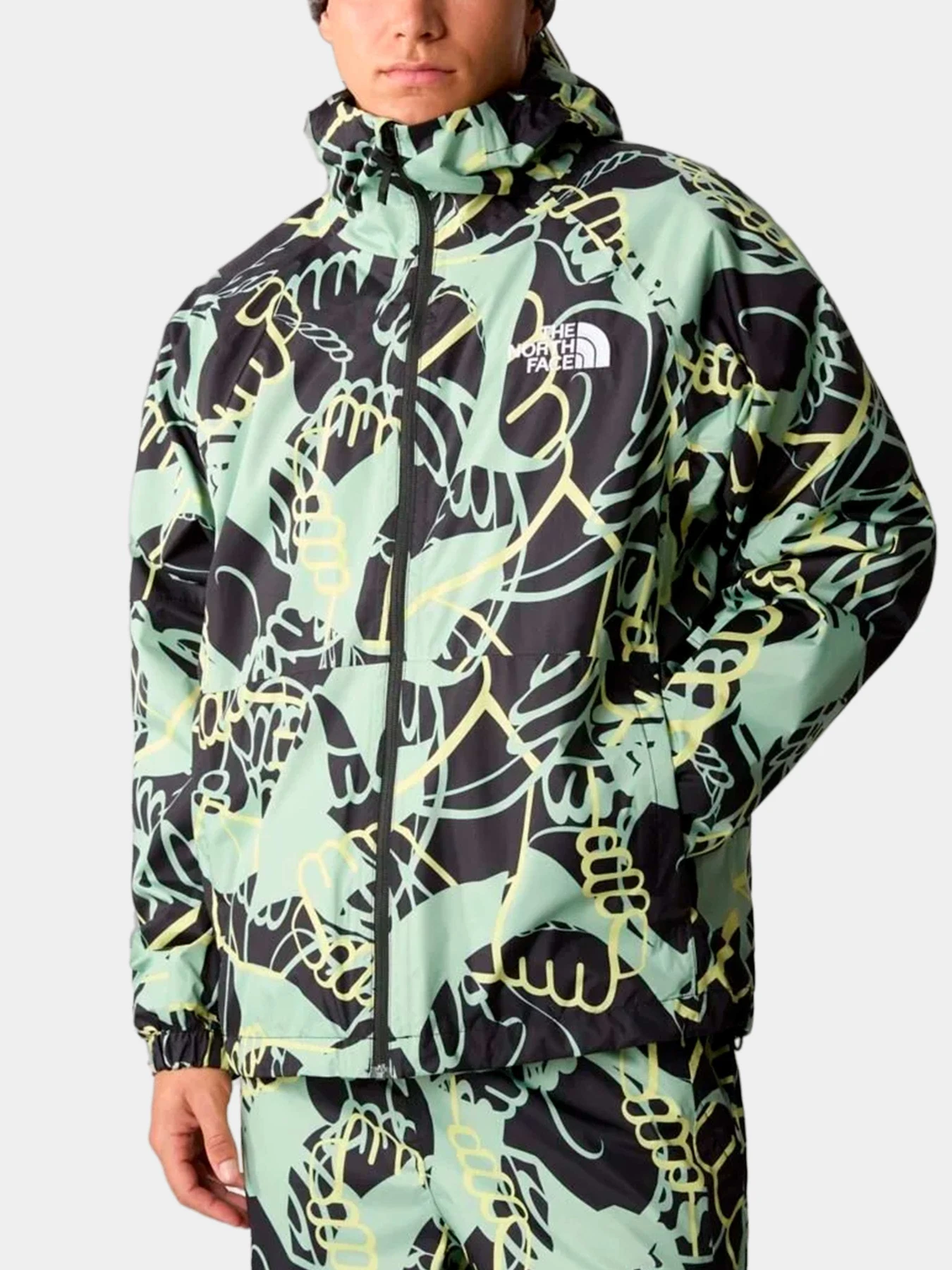 Куртки и дубленки The North Face модель NF0A82VMO3Y1 Куртки и дубленки The North Face модель NF0A82VMO3Y1 Фото