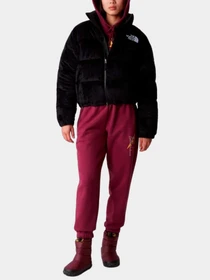 Куртки и дубленки The North Face модель NF0A84F9JK31 Фото