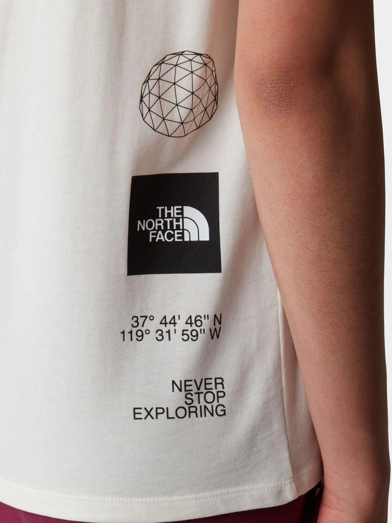 Футболки и поло The North Face модель NF0A86XPV3L1 Футболки и поло The North Face модель NF0A86XPV3L1 Фото