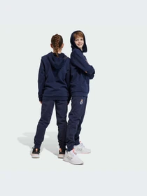 Брюки Adidas модель HY0620-KZ Фото
