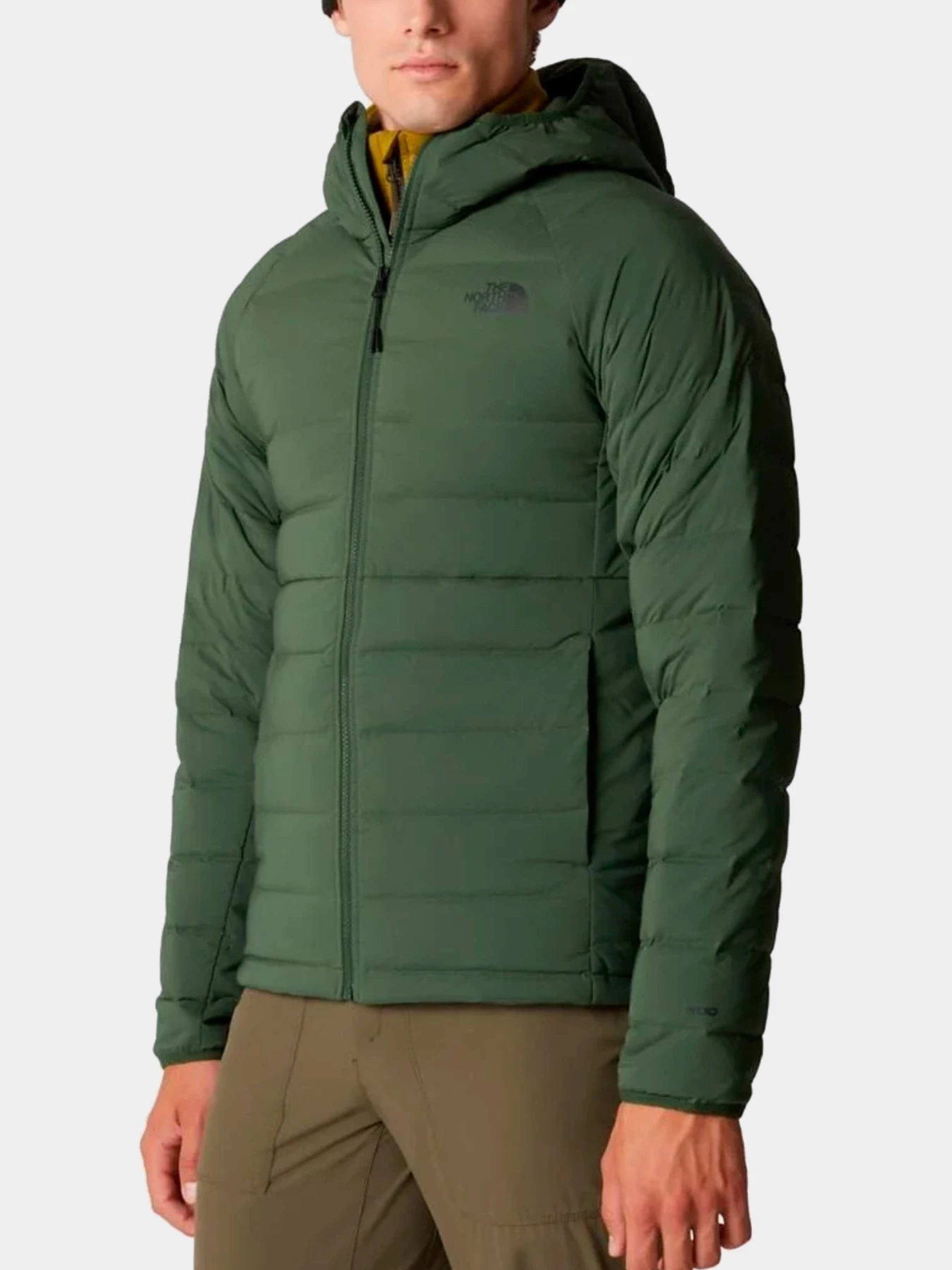 Куртки и дубленки The North Face модель NF0A7UJEI0P1 Куртки и дубленки The North Face модель NF0A7UJEI0P1 Фото