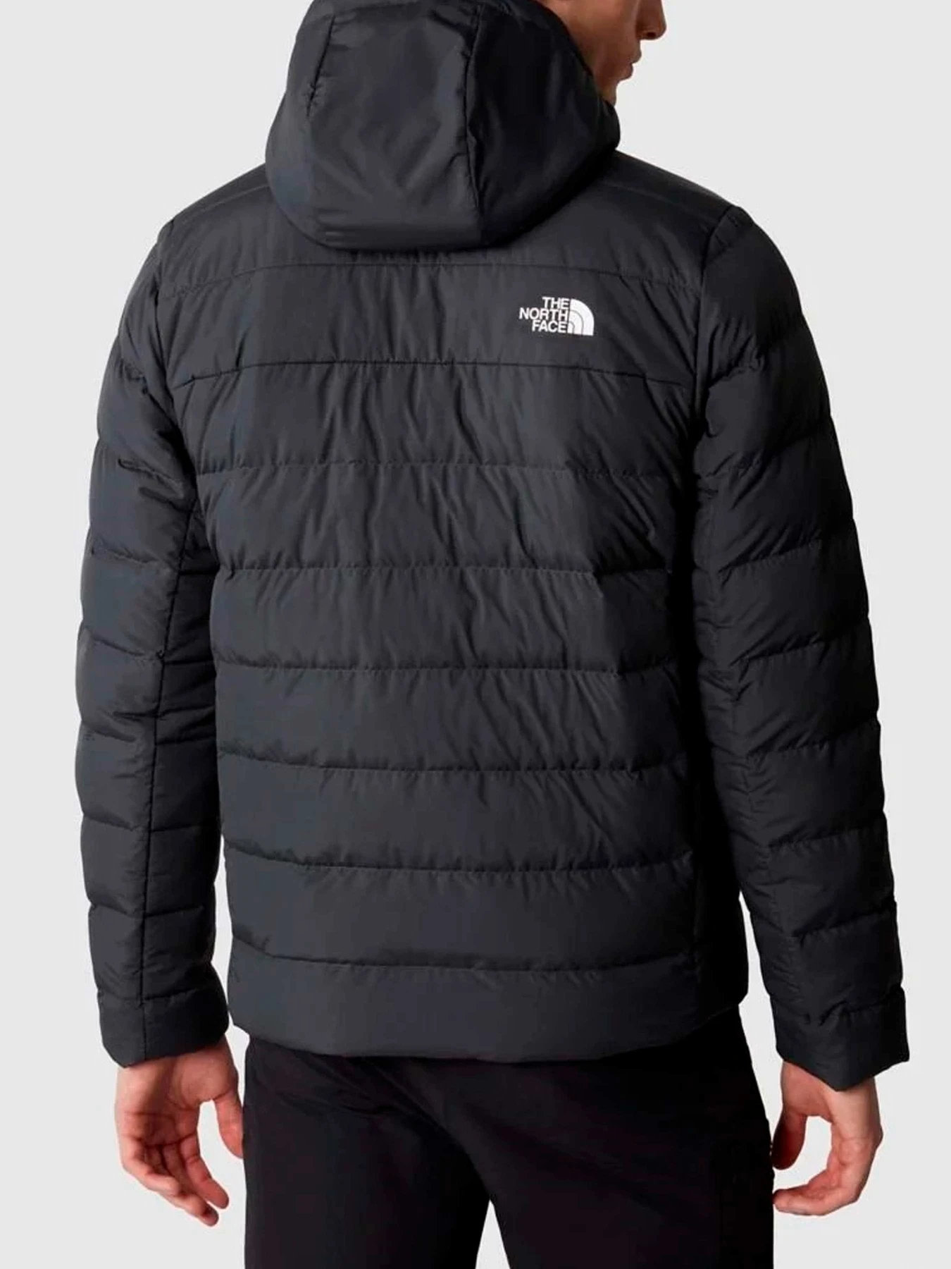 Куртки и дубленки The North Face модель NF0A84I10C51 Куртки и дубленки The North Face модель NF0A84I10C51 Фото