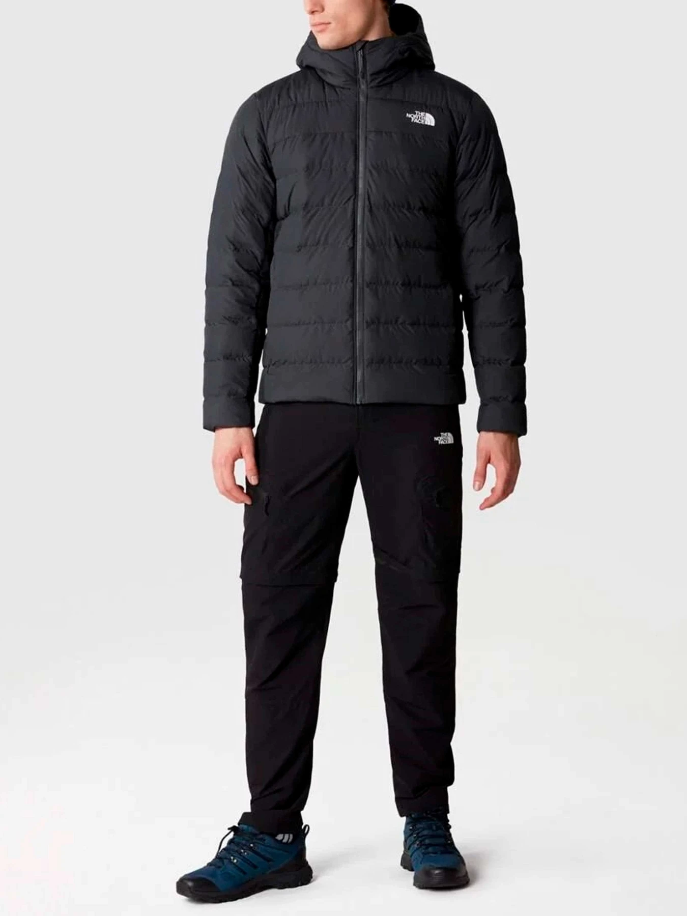 Куртки и дубленки The North Face модель NF0A84I10C51 Куртки и дубленки The North Face модель NF0A84I10C51 Фото