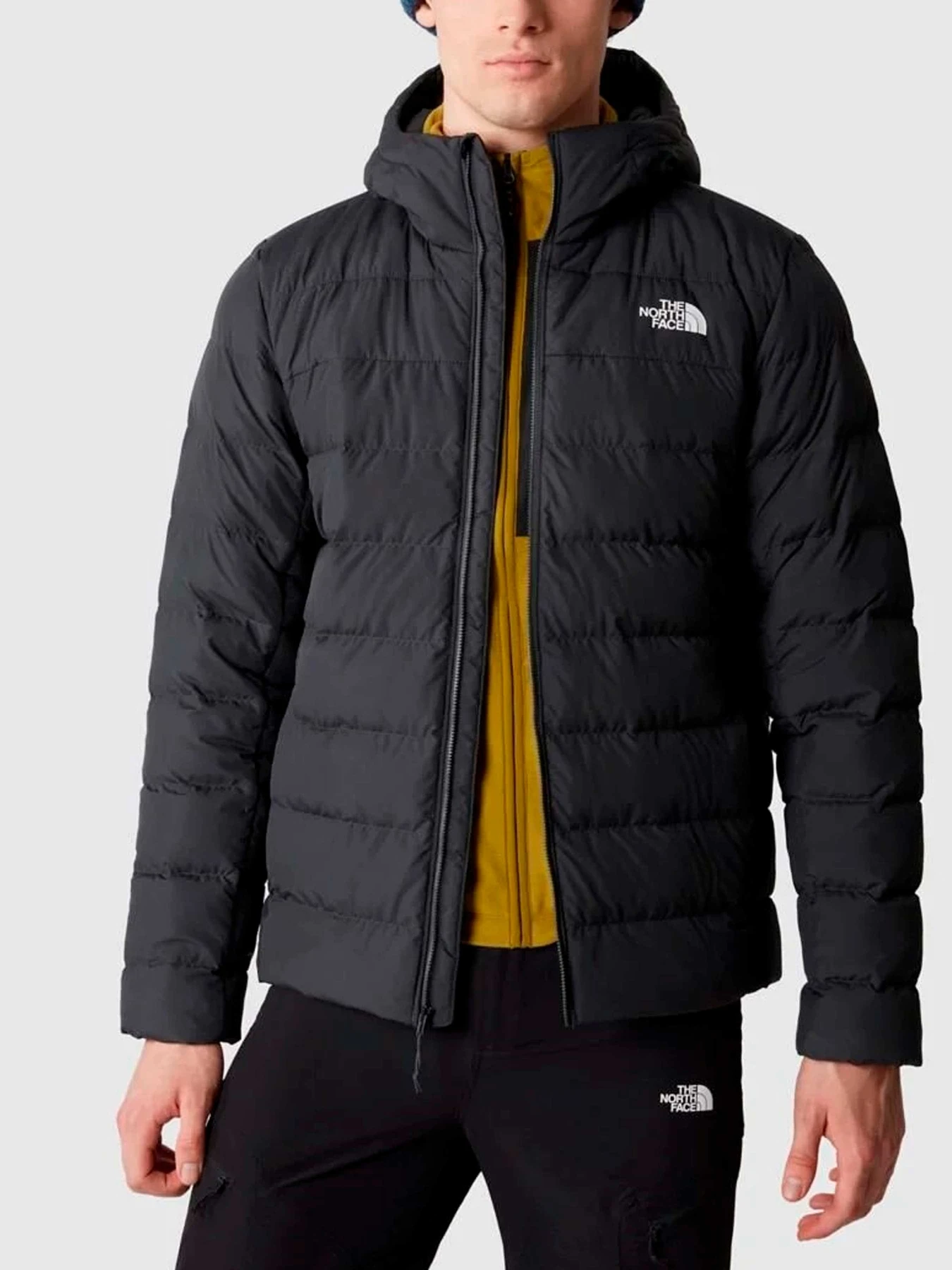 Куртки и дубленки The North Face модель NF0A84I10C51 Куртки и дубленки The North Face модель NF0A84I10C51 Фото