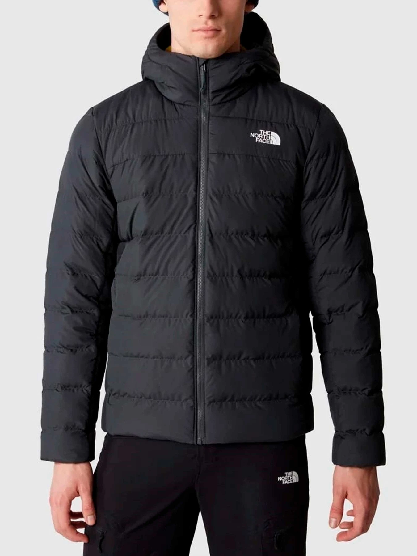 Куртки и дубленки The North Face модель NF0A84I10C51 Куртки и дубленки The North Face модель NF0A84I10C51 Фото