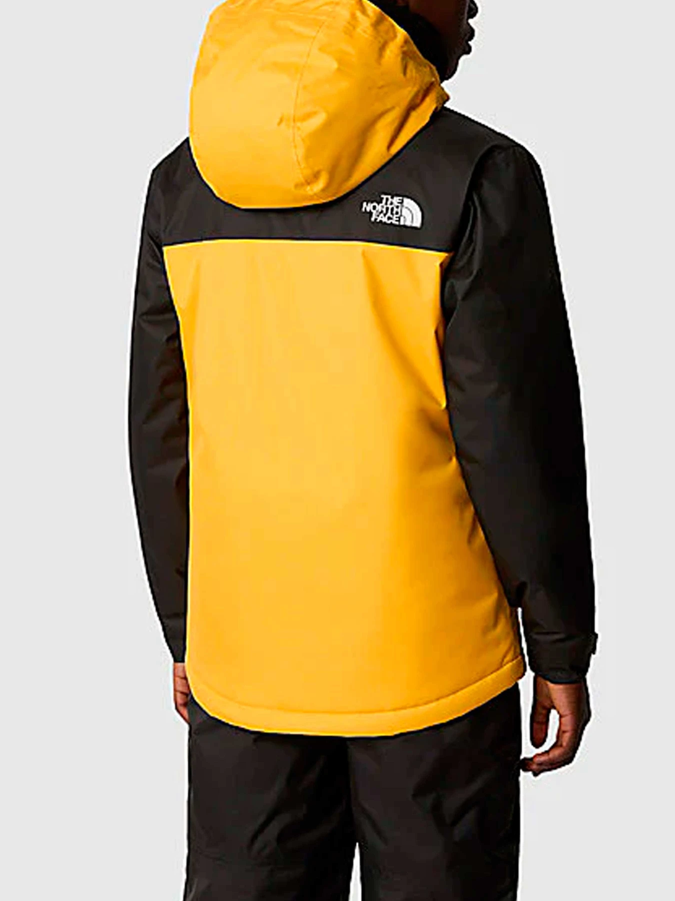 Куртки и дубленки The North Face модель NF0A8555ZU31 Куртки и дубленки The North Face модель NF0A8555ZU31 Фото