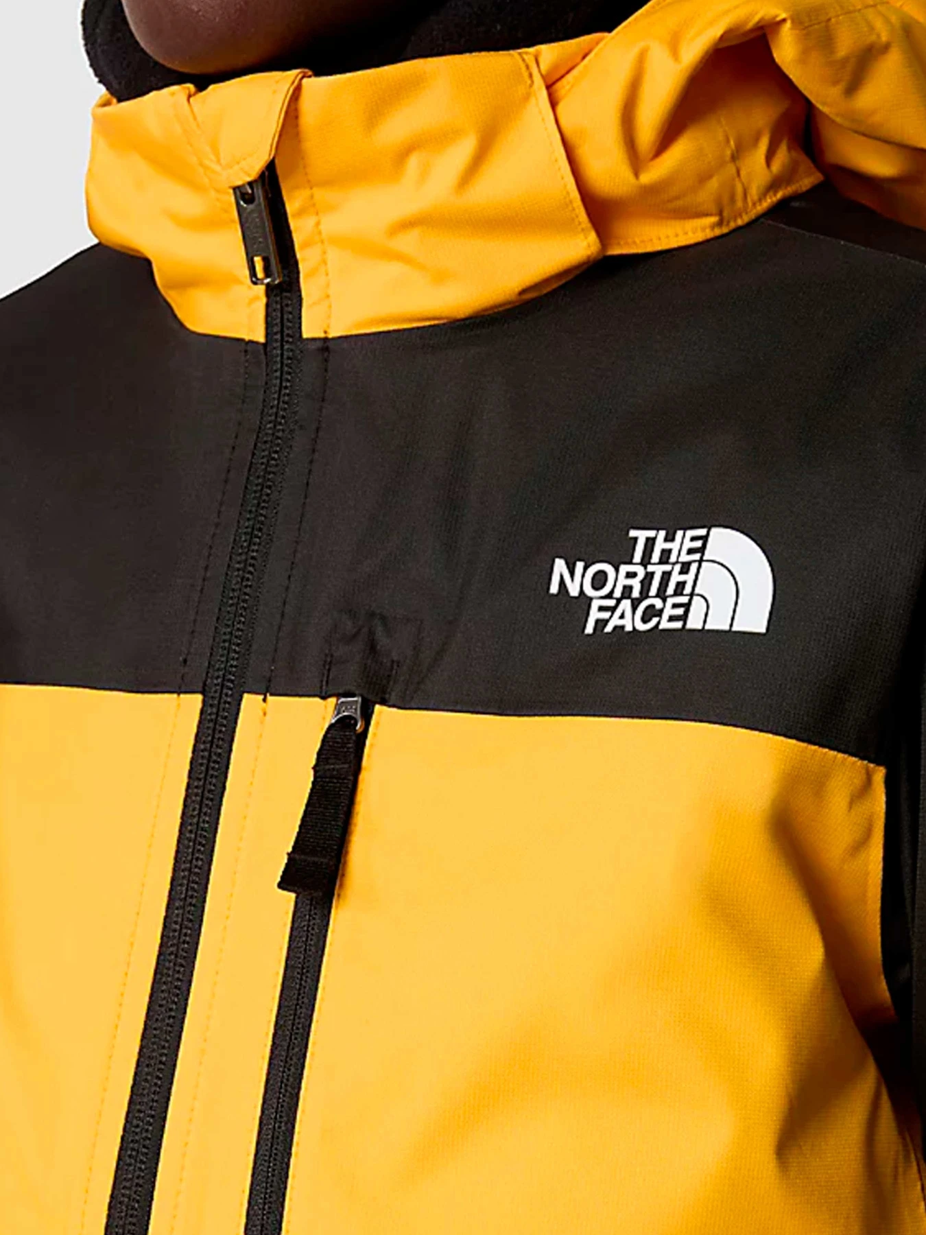 Куртки и дубленки The North Face модель NF0A8555ZU31 Куртки и дубленки The North Face модель NF0A8555ZU31 Фото