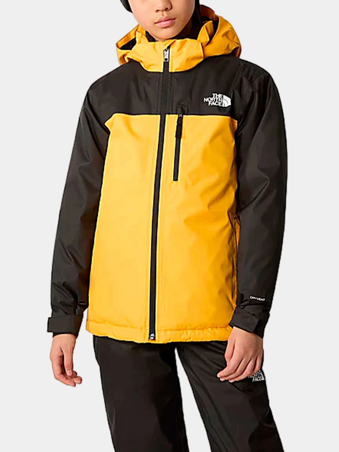Куртки и дубленки The North Face модель NF0A8555ZU31 Куртки и дубленки The North Face модель NF0A8555ZU31 Фото