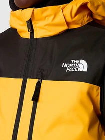 Куртки и дубленки The North Face модель NF0A8555ZU31 Фото