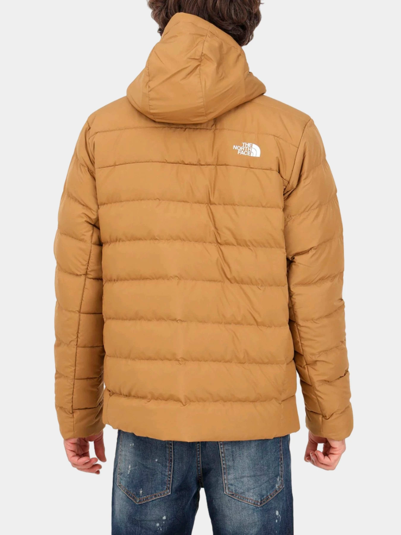 Куртки и дубленки The North Face модель NF0A84I11731 Куртки и дубленки The North Face модель NF0A84I11731 Фото