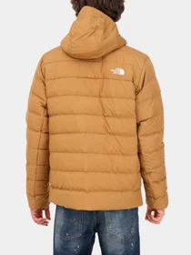 Куртки и дубленки The North Face модель NF0A84I11731 Фото