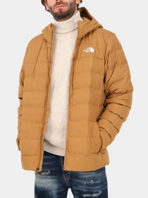 Куртки и дубленки The North Face модель NF0A84I11731 Фото