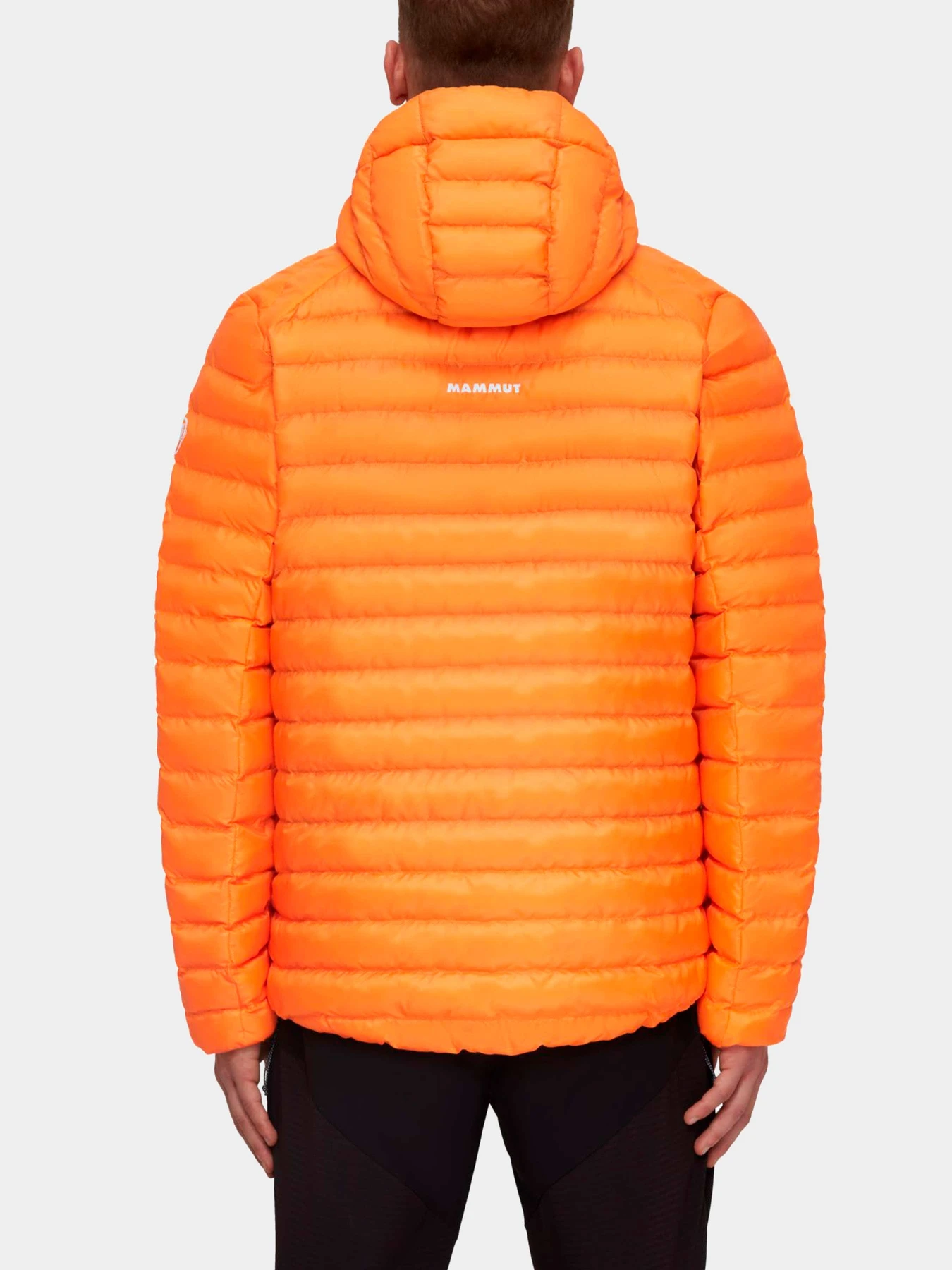 Куртки и дубленки Mammut модель 1013-01781-2259 Куртки и дубленки Mammut модель 1013-01781-2259 Фото