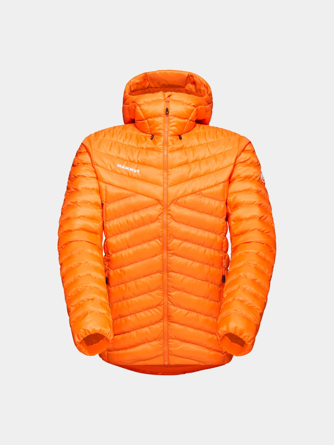 Куртки и дубленки Mammut модель 1013-01781-2259 Куртки и дубленки Mammut модель 1013-01781-2259 Фото