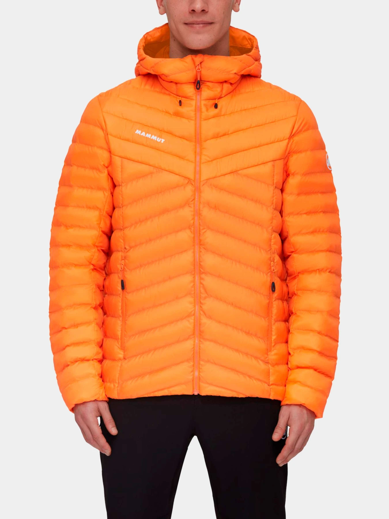 Куртки и дубленки Mammut модель 1013-01781-2259 Куртки и дубленки Mammut модель 1013-01781-2259 Фото