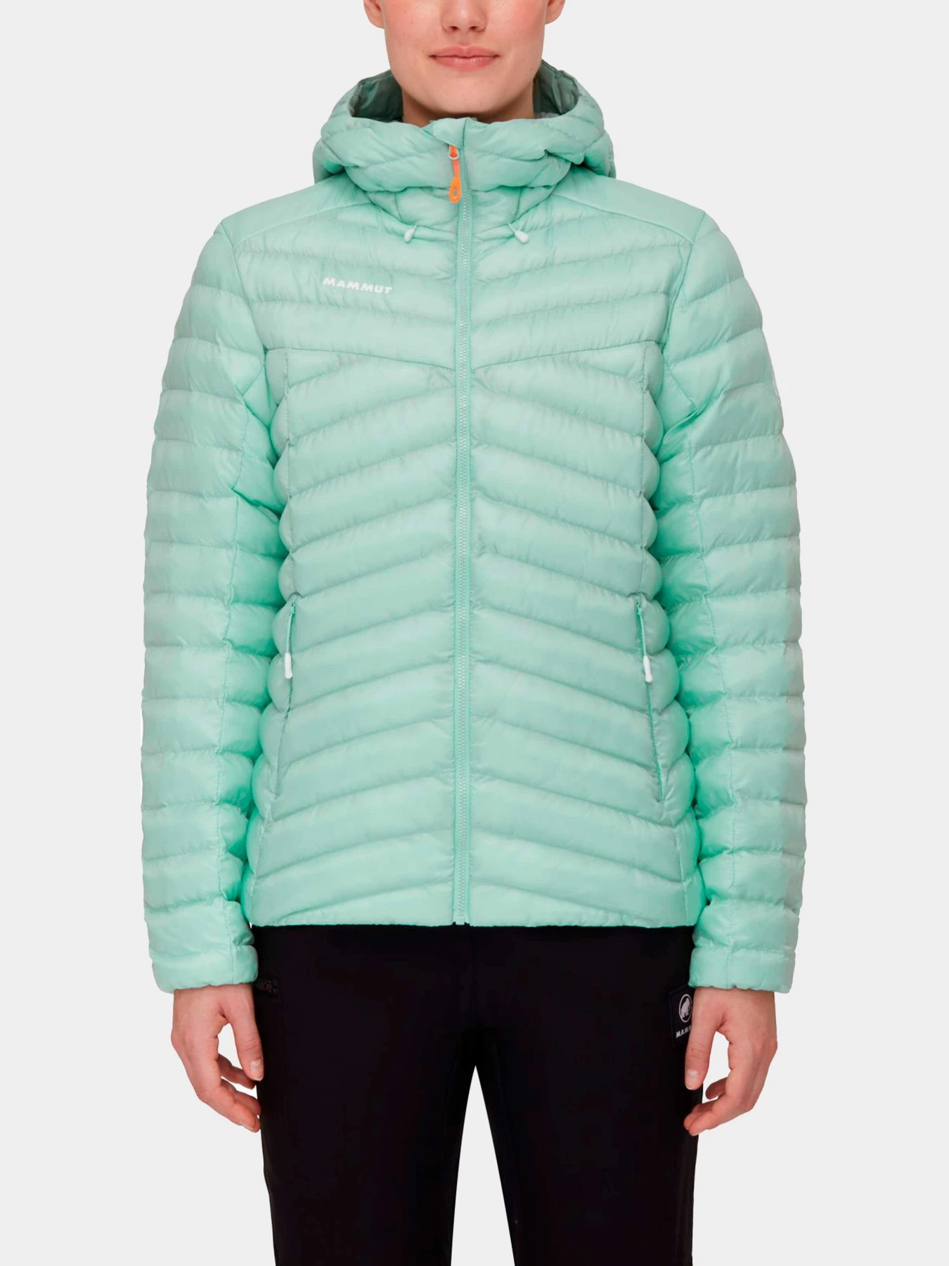 Куртки и дубленки Mammut модель 1013-01791-40249 Куртки и дубленки Mammut модель 1013-01791-40249 Фото
