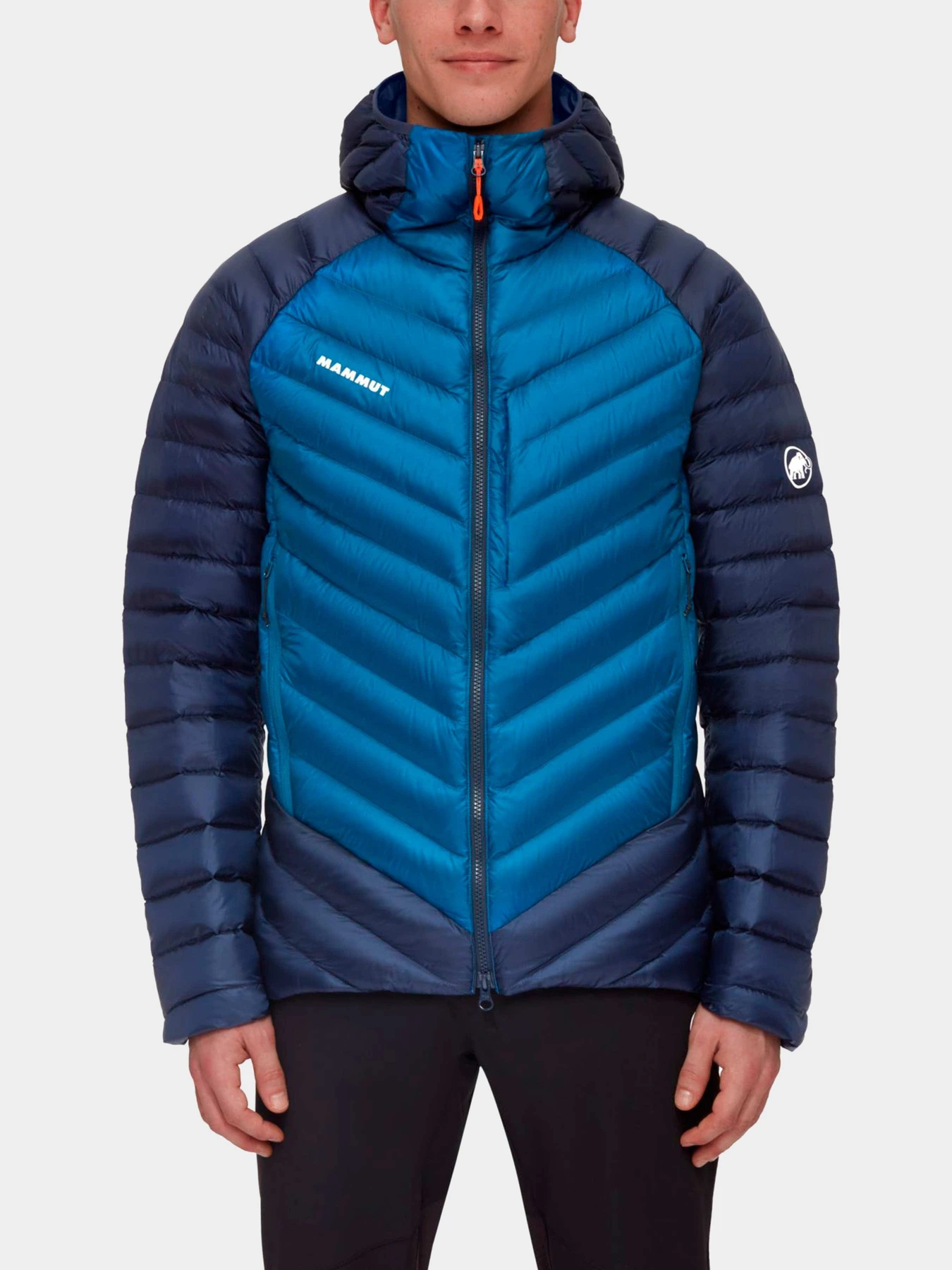 Куртки и дубленки Mammut модель 1013-02960-50554 Куртки и дубленки Mammut модель 1013-02960-50554 Фото