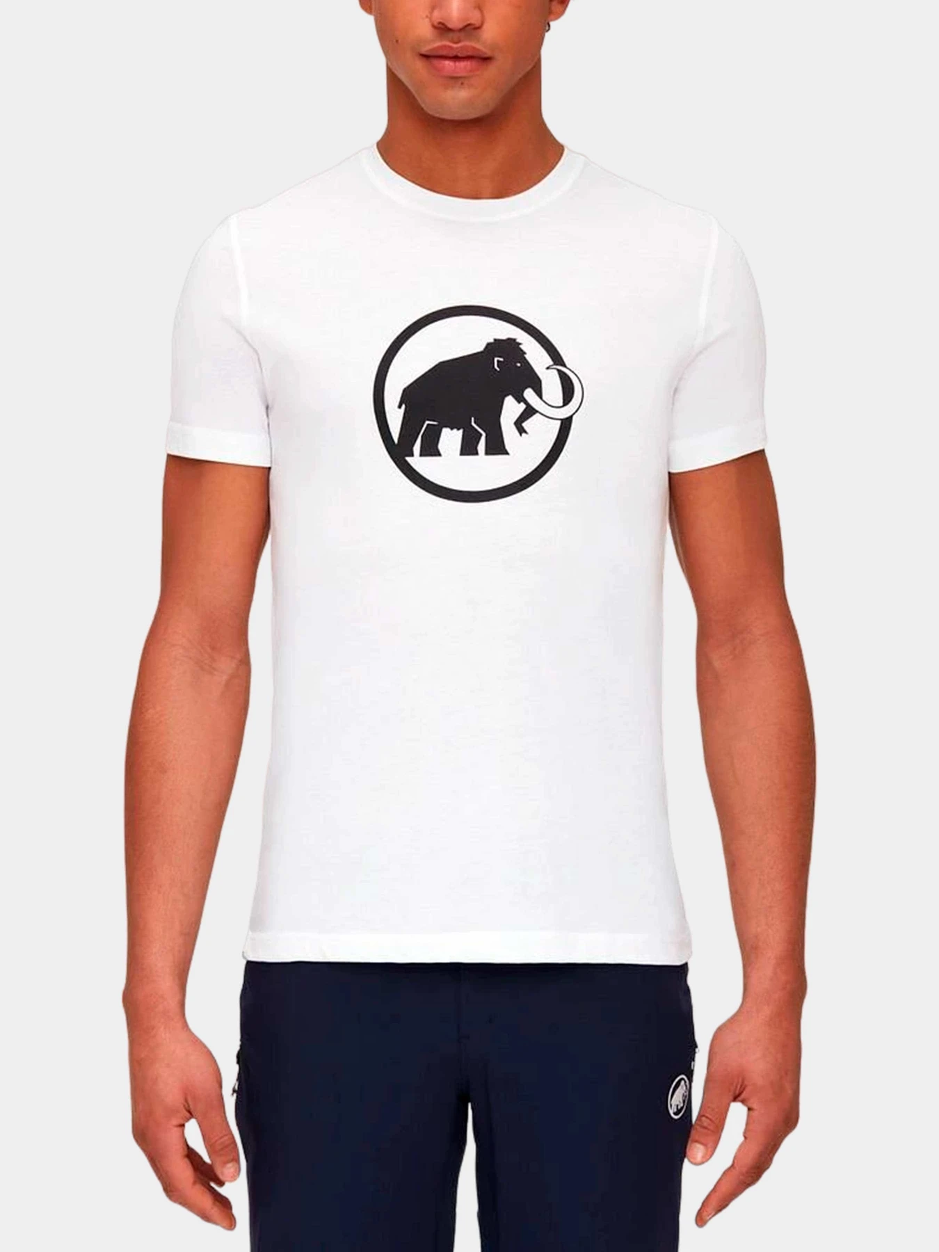 Футболки и поло Mammut модель 1017-05890-0243 Футболки и поло Mammut модель 1017-05890-0243 Фото