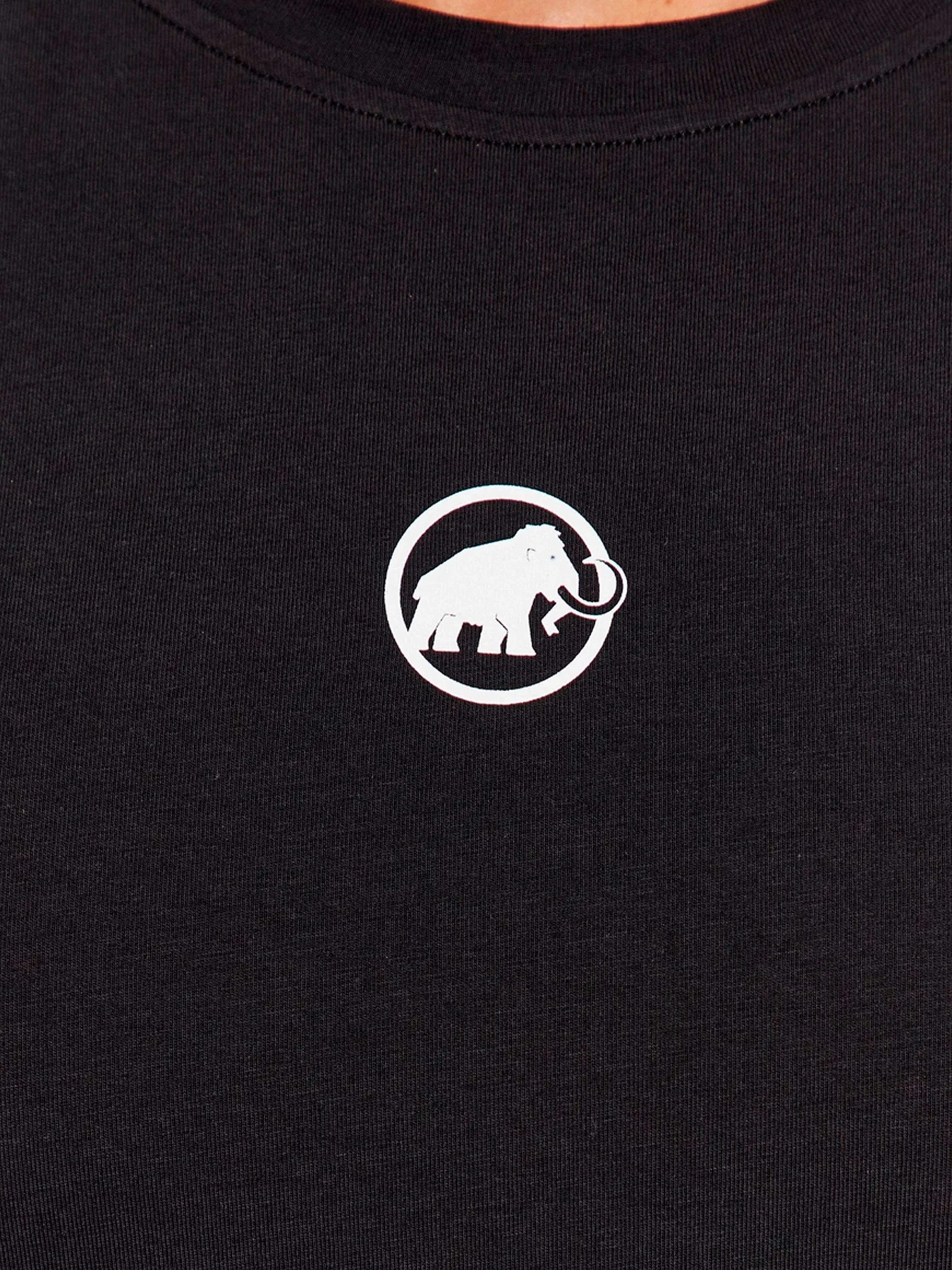 Футболки и поло Mammut модель 1017-04481-0001 Футболки и поло Mammut модель 1017-04481-0001 Фото