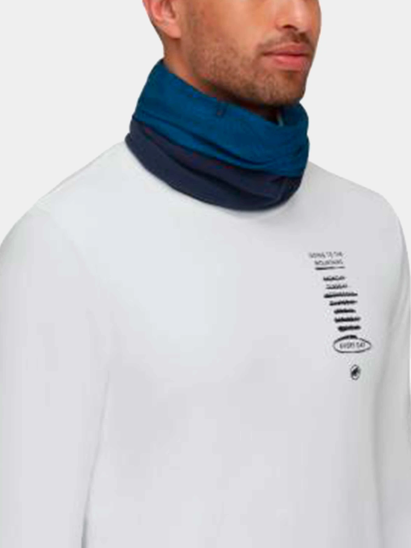 Шарфы и платки Mammut модель 1191-05845-50555 Шарфы и платки Mammut модель 1191-05845-50555 Фото