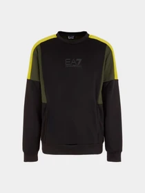Худи и свитшоты EA7 модель 6RPM34-PJ16Z-0200 Фото