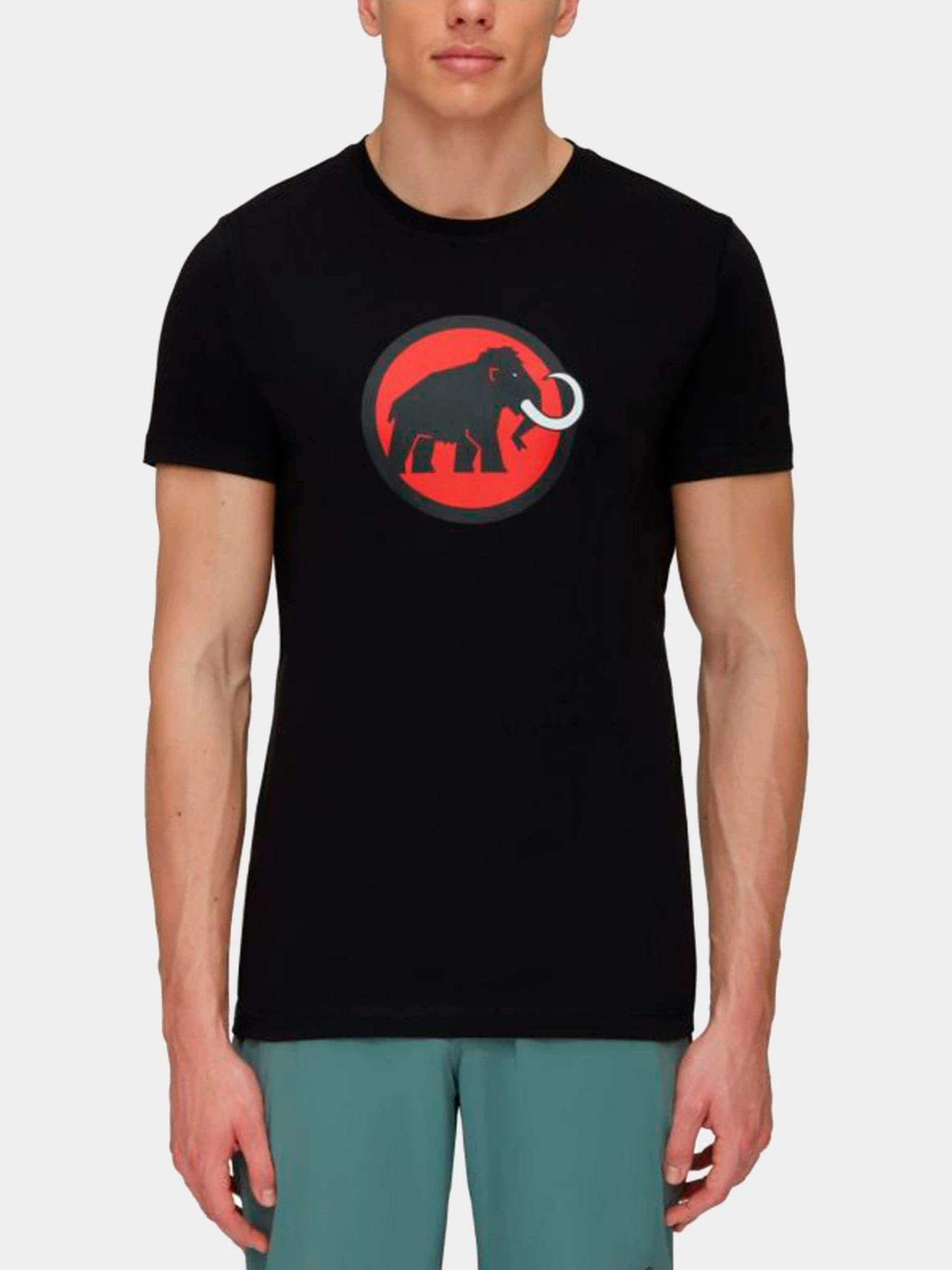 Футболки и поло Mammut модель 1017-05890-0001 Футболки и поло Mammut модель 1017-05890-0001 Фото
