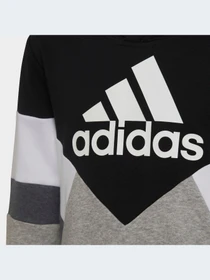Худи и свитшоты Adidas модель HA4007-KZ Фото