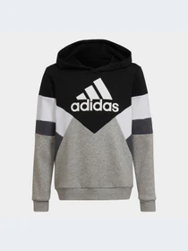 Худи и свитшоты Adidas модель HA4007-KZ Фото