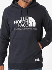 Худи и свитшоты The North Face модель NF0A55GFJK31 Фото