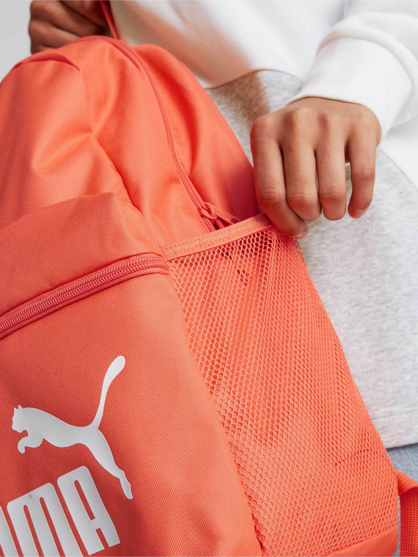 Рюкзаки PUMA модель 07994307 Рюкзаки PUMA модель 07994307 Фото
