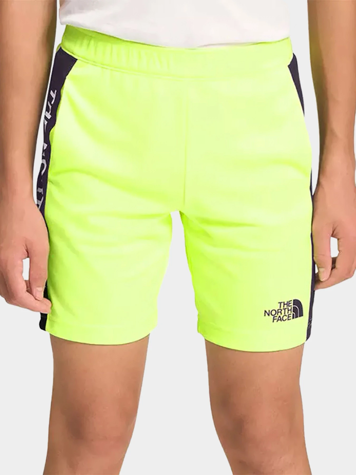 Шорты The North Face модель NF0A82DL8NT1 Шорты The North Face модель NF0A82DL8NT1 Фото