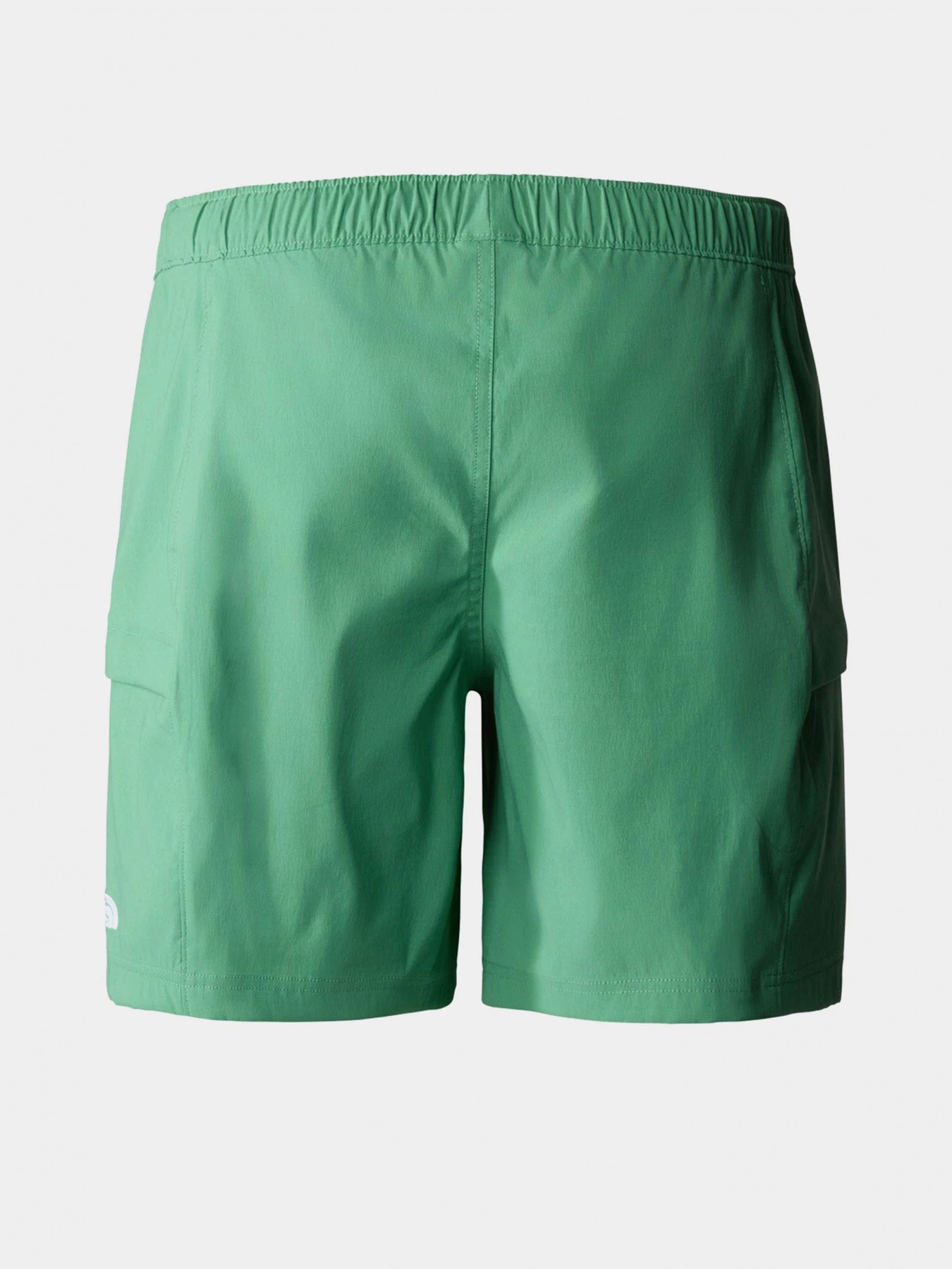 Шорты The North Face модель NF0A55V8N111 Шорты The North Face модель NF0A55V8N111 Фото