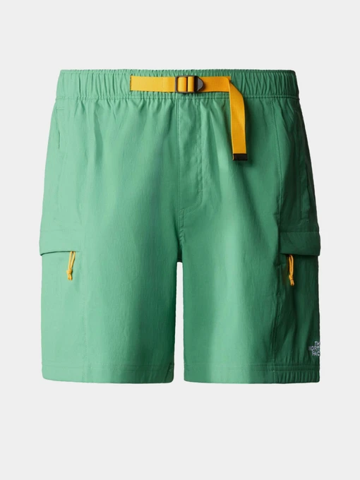 Шорты The North Face модель NF0A55V8N111 Фото