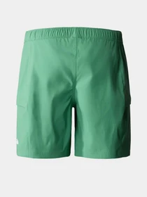 Шорты The North Face модель NF0A55V8N111 Фото