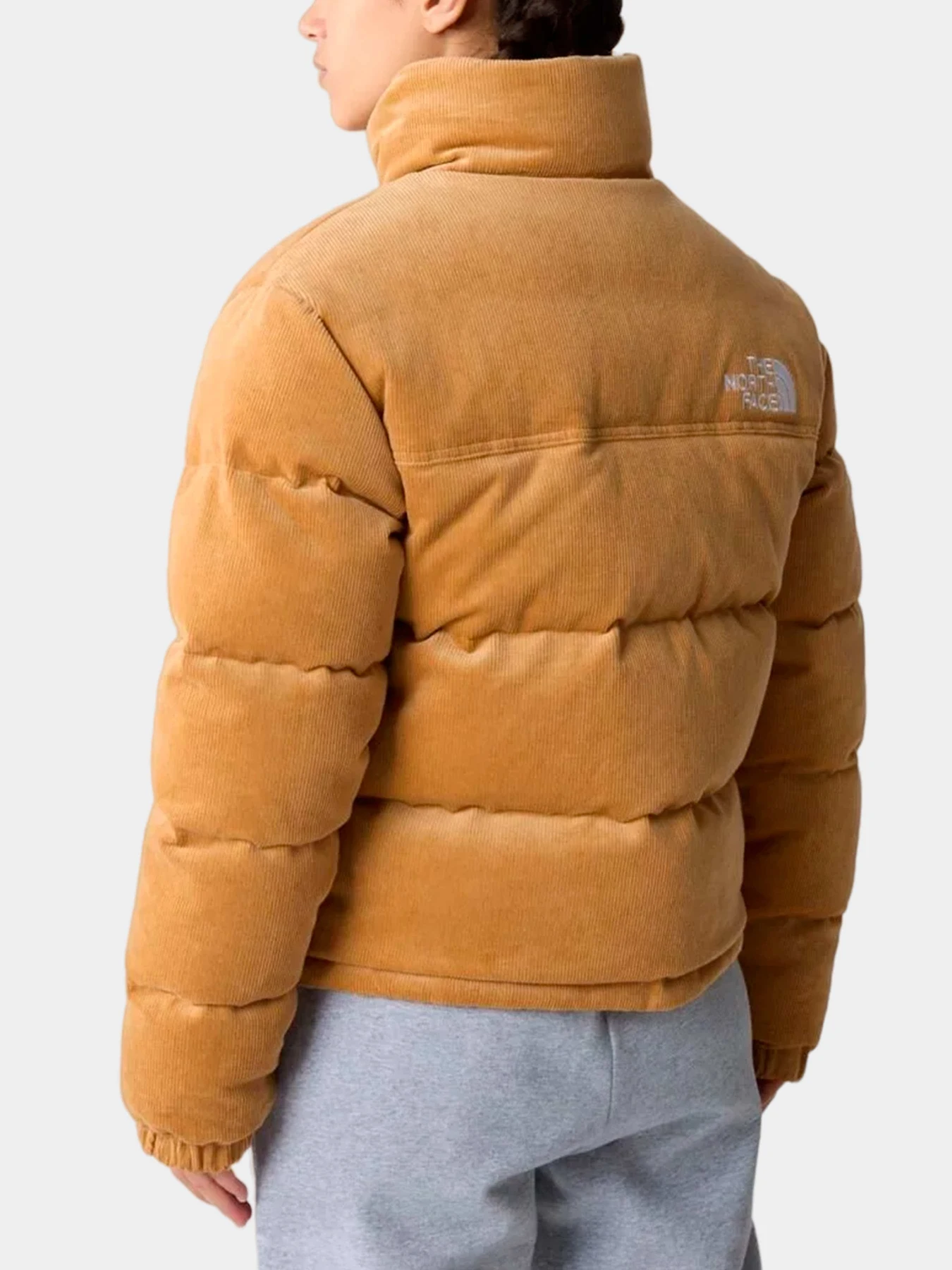 Куртки и дубленки The North Face модель NF0A831JKOK1 Куртки и дубленки The North Face модель NF0A831JKOK1 Фото