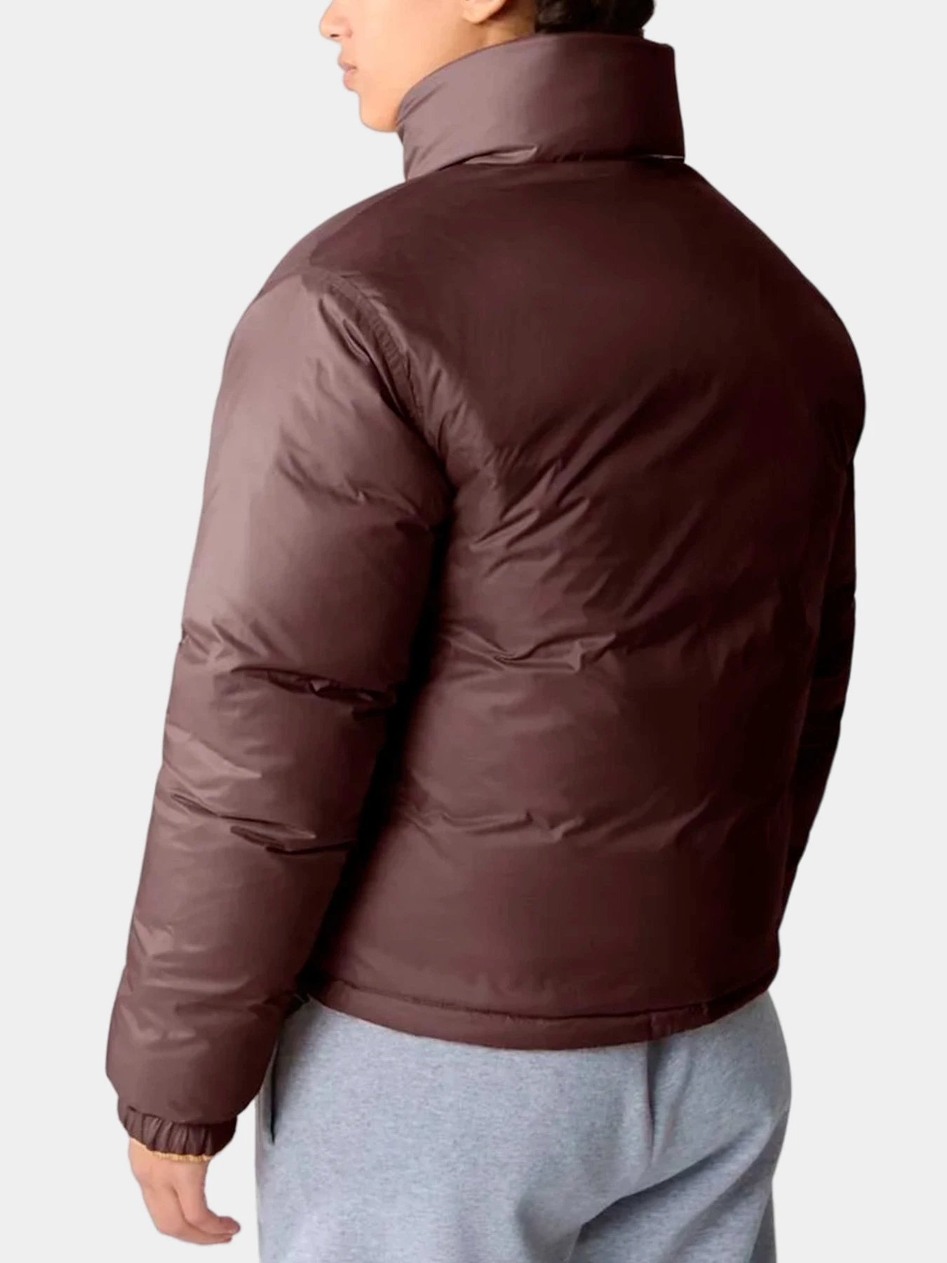 Куртки и дубленки The North Face модель NF0A831JKOK1 Куртки и дубленки The North Face модель NF0A831JKOK1 Фото