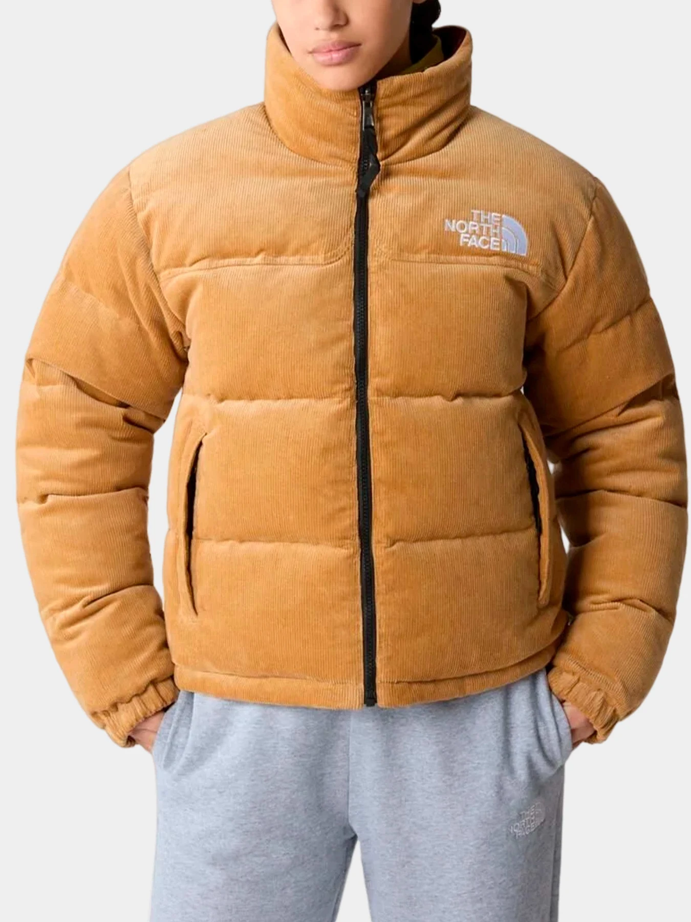 Куртки и дубленки The North Face модель NF0A831JKOK1 Куртки и дубленки The North Face модель NF0A831JKOK1 Фото